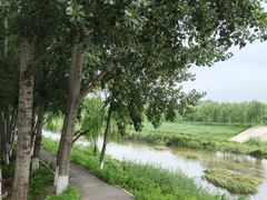 -东郊湿地公园