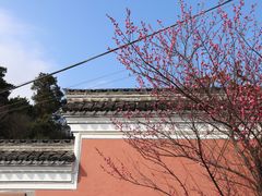 -东钱湖旅游度假区