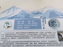 -青藏高原野生动物园