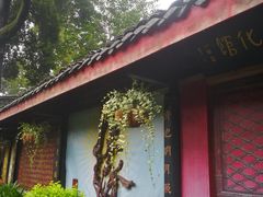 -峨眉山报国寺