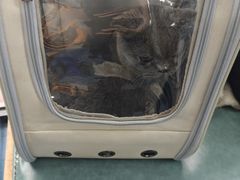 -博特宠物医院24h犬猫全科.骨科·异宠