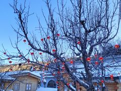 -采薇庄园四季滑雪场