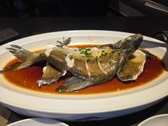 -曾宴·楚菜(湖北省博物馆店)