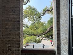 -江心屿景区