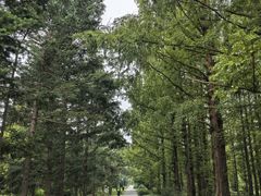 -国家植物园南园