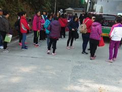 -九龙江国家森林公园