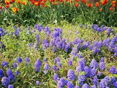 -国家植物园南园