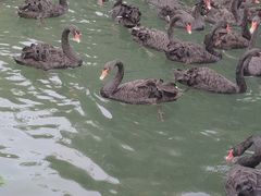 -长白岛森林公园