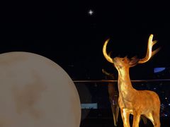 -梧桐餐厅(泉城路店)