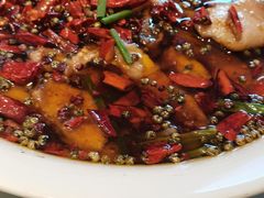 水煮鱼鲶鱼-眉州东坡(团结湖店)