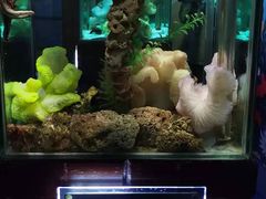 -太平洋海底世界