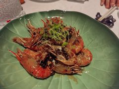 -桂满陇·海市蜃楼·黑金(国金店)