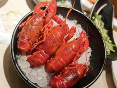 -水木锦堂·自助铁板烧(望京凯德MALL店)