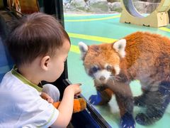-海合安成都极地海洋公园
