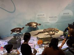 -中国湿地博物馆