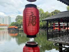 -侨美·唐荔园·40年地道粤菜