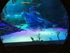 -沈阳海洋探索中心