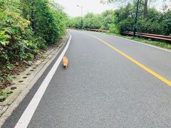 -宝界山林公园
