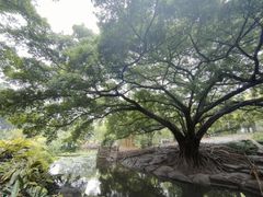 -晓港公园