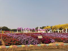 -松山湖南湖湾露营营地