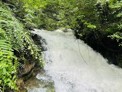 -鹿院坪生态旅游景区