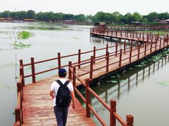 -白洋淀景区