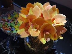 -墨锦轩·5D影院足浴·SPA(高新店)