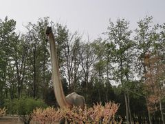 -青龙湖公园
