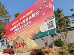 -海南霸王岭国家森林公园