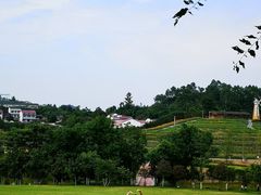 -川南大草原