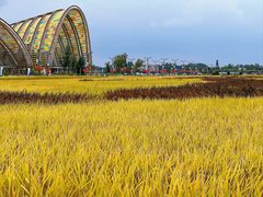 -中国天府农业博览园