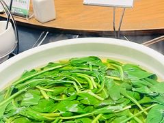 蘸水板蓝根-黔蘑菇四季餐厅(观山湖店)