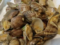 -船歌·鱼水饺青岛菜(国贸商城店)
