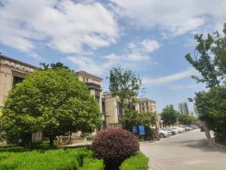 -涌泉妈咪树通乳·产后恢复