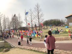 -滆湖低碳生态公园