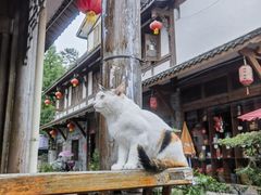-海窝子古镇