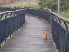 -上海海事大学(临港校区)