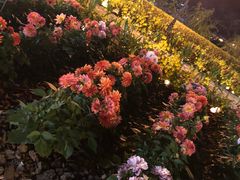 -龙环葡韵住宅式博物馆