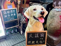 -民谣未来吧