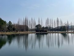 -苏州太湖国家湿地公园