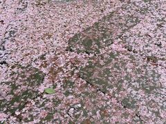 -苏州工学院(东湖校区)
