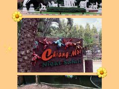 -清迈夜间动物园