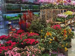 -双季花艺园艺市场(浦东店)