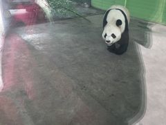 -石家庄市动物园