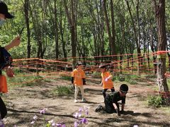 -上林马术中央公园·户外露营·团建·骑乘
