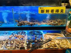 -苏格里岛自助海鲜烤肉(青秀万达店)