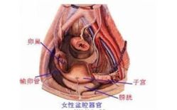 -邢台妇产医院
