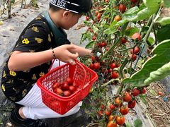 -上海崇明金茂凯悦酒店