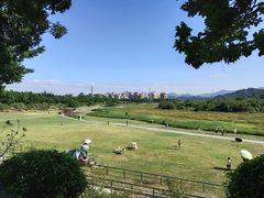 -风云岭森林公园