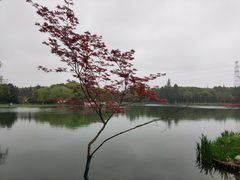 -新洲生态园